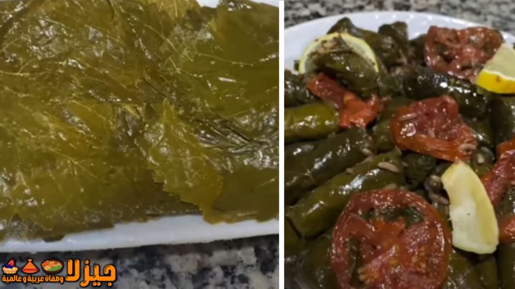 محشي ورق العنب