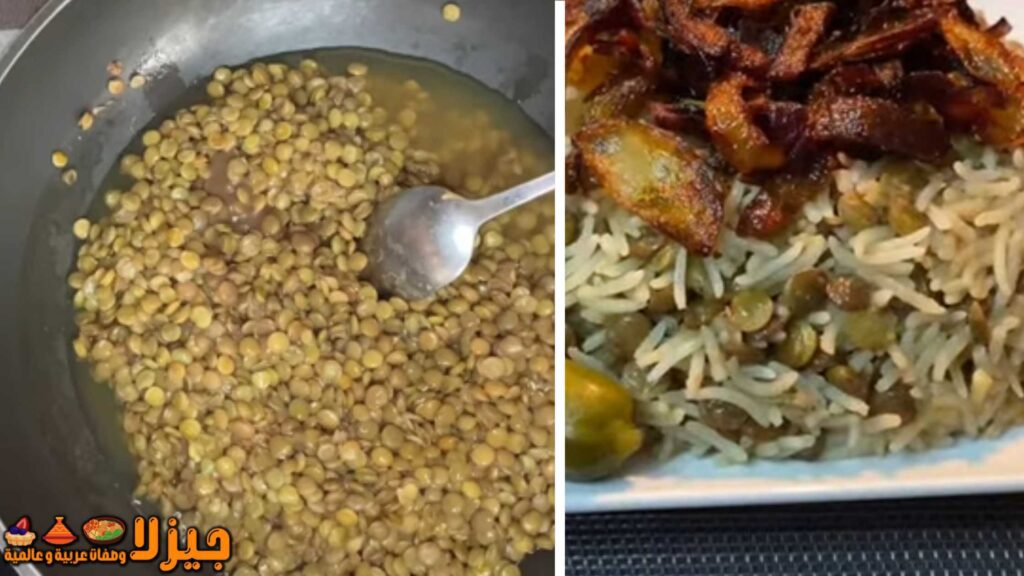 المجدرة السورية